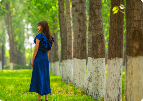 yd2333云顶电子游戏(中国)有限公司