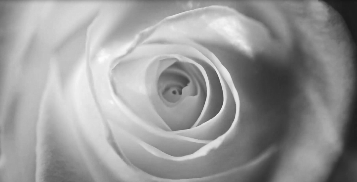 yd2333云顶电子游戏(中国)有限公司