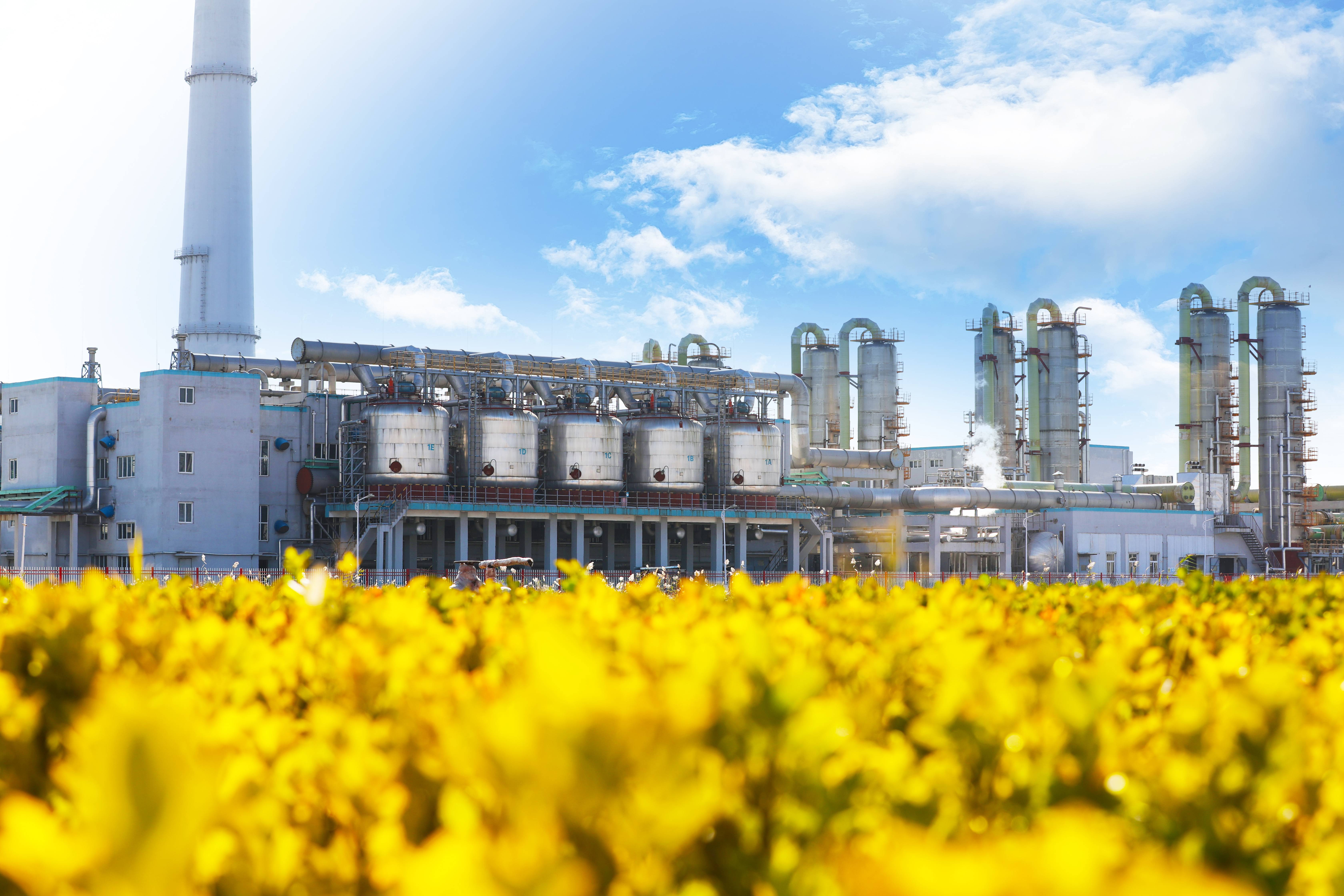 yd2333云顶电子游戏(中国)有限公司